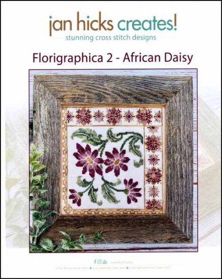 Florigraphica 2: African Daisy - Click Image to Close