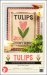(image for) Tulips Seed Packet