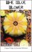 (image for) Sunflower Biscornu