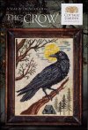(image for) A Year in the Woods II - Part 4 - The Crow