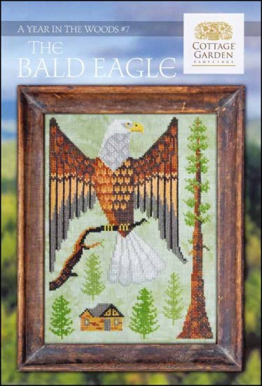 A Year in the Woods 7: The Bald Eagle - Click Image to Close