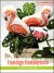(image for) Flamingo Flamboyance