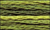 DMC Variations Floss. Amazon Moss (4066)