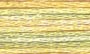 DMC Pearl Variations 4080 Daffodil Fields - Click Image to Close