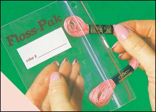 Floss-Pak Bulk Pack with 100 Floss Paks - Click Image to Close