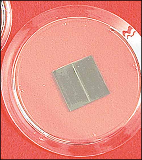 (image for) Magnetic Frames. 3" Magnet Frame - Click Image to Close