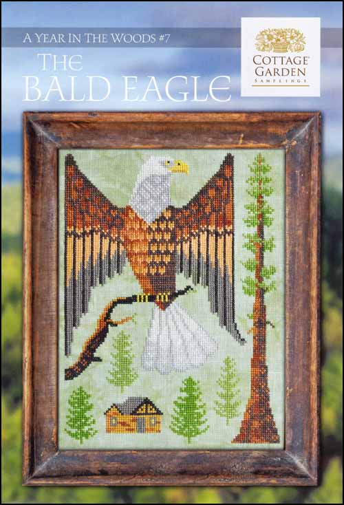 (image for) A Year in the Woods 7: The Bald Eagle - Click Image to Close