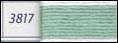 DMC Floss Color 3817 Light Celadon Green