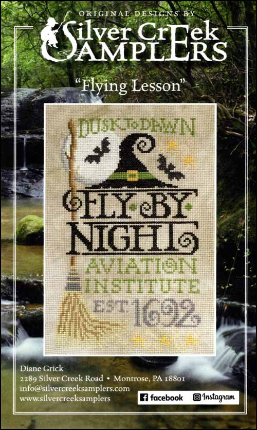 (image for) Flying Lesson - Click Image to Close